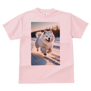 TGh TVc  j[NfUCfB[X t@  t vg lJWA 킢 lԗp Mtg I ҏ΍  TGh ~ i R