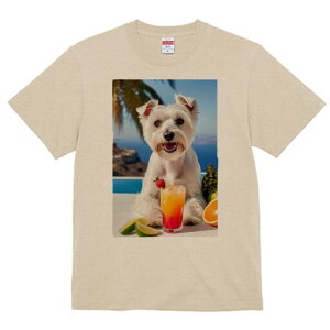 EGXgnChzCgeA TVc  j[NfUCfB[X t@  t vg lJWA 킢 lԗp Mtg I ҏ΍ JNe EGXgnC