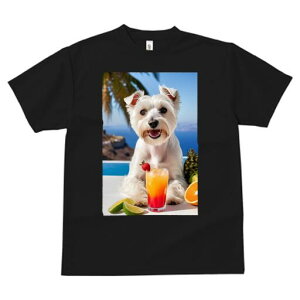 EGXgnChzCgeA TVc  j[NfUCY LbY t@  t vg lJWA 킢 lԗp Mtg I ҏ΍ JNe EGXg