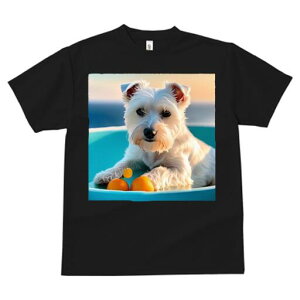 EGXgnChzCgeA TVc  j[NfUCfB[X t@  t vg lJWA 킢 lԗp Mtg I ҏ΍ IW EGXgnC