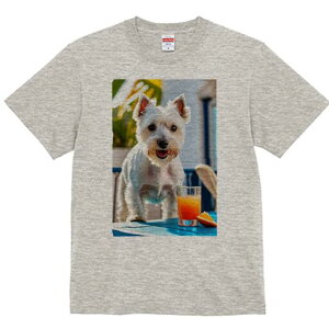 EGXgnChzCgeA TVc  j[NfUCfB[X t@  t vg lJWA 킢 lԗp Mtg I ҏ΍ IWW[X EG