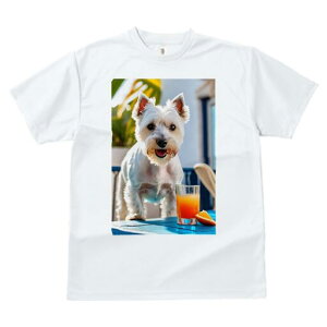 EGXgnChzCgeA TVc  j[NfUCfB[X t@  t vg lJWA 킢 lԗp Mtg I ҏ΍ IWW[X EG