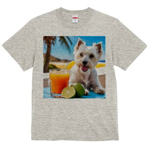 EGXgnChzCgeA TVc  j[NfUCY LbY t@  t vg lJWA 킢 lԗp Mtg I ҏ΍ W[X EGXg