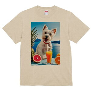 EGXgnChzCgeA TVc  j[NfUCfB[X t@  t vg lJWA 킢 lԗp Mtg I ҏ΍ pCibv EGXg