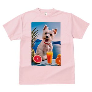 EGXgnChzCgeA TVc  j[NfUCfB[X t@  t vg lJWA 킢 lԗp Mtg I ҏ΍ pCibv EGXg