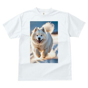 �T���G�h T�V���c ���� ���j�[�N�f�U�C�����f�B�[�X ���t�@�� ���� �t�� �v�����g ��l�J�W���A�� ���킢�� �l�ԗp �M�t�g ���I �ҏ��΍� �� �T���G�h �~ ���z