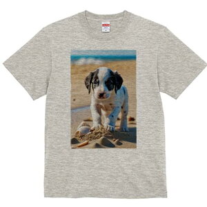 _VA TVc  j[NfUCfB[X t@  t vg lJWA 킢 lԗp Mtg I ҏ΍ r[` _VA C  Lk