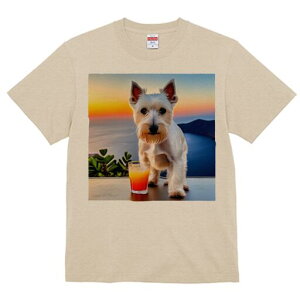 EGXgnChzCgeA TVc  j[NfUCfB[X t@  t vg lJWA 킢 lԗp Mtg I ҏ΍ ݕ EGXgnC