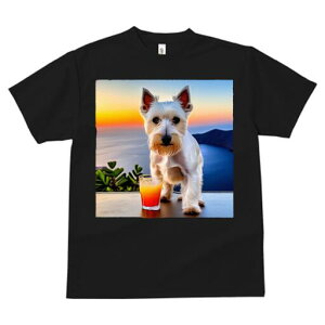 EGXgnChzCgeA TVc  j[NfUCfB[X t@  t vg lJWA 킢 lԗp Mtg I ҏ΍ ݕ EGXgnC