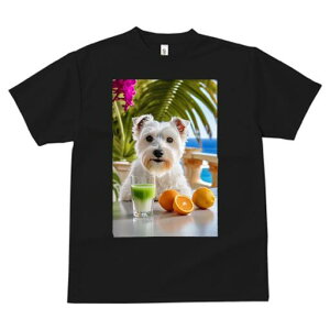 EGXgnChzCgeA TVc  j[NfUCY LbY t@  t vg lJWA 킢 lԗp Mtg I ҏ΍ IW EGXg