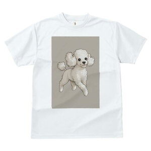 v[h TVc  j[NfUCfB[X t@  t vg lJWA 킢 lԗp Mtg I ҏ΍ v[h