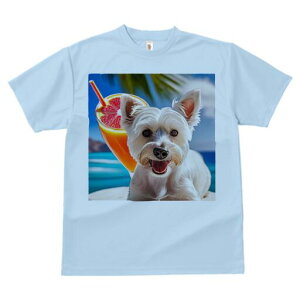 }`[Y TVc  j[NfUCfB[X t@  t vg lJWA 킢 lԗp Mtg I ҏ΍ ݕ }`[Y C r[` 