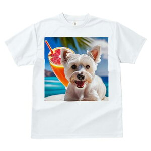 }`[Y TVc  j[NfUCfB[X t@  t vg lJWA 킢 lԗp Mtg I ҏ΍ ݕ }`[Y C r[` 