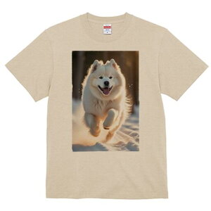 TGh TVc  j[NfUCfB[X t@  t vg lJWA 킢 lԗp Mtg I ҏ΍  TGh ~ z