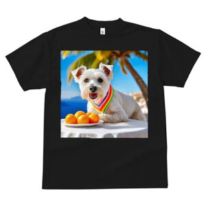 EGXgnChzCgeA TVc  j[NfUCY LbY t@  t vg lJWA 킢 lԗp Mtg I ҏ΍ V̖ EGXg