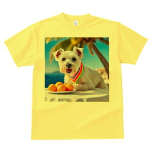 EGXgnChzCgeA TVc  j[NfUCfB[X t@  t vg lJWA 킢 lԗp Mtg I ҏ΍ V̖ EGXgnC