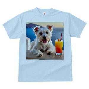 EGXgnChzCgeA TVc  j[NfUCfB[X t@  t vg lJWA 킢 lԗp Mtg I ҏ΍ JNe EGXgnC