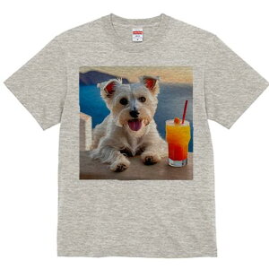 EGXgnChzCgeA TVc  j[NfUCY LbY t@  t vg lJWA 킢 lԗp Mtg I ҏ΍ JNe EGXg