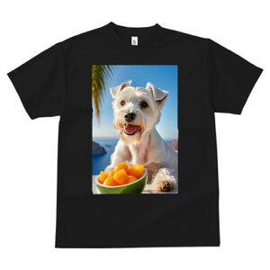 EGXgnChzCgeA TVc  j[NfUCfB[X t@  t vg lJWA 킢 lԗp Mtg I ҏ΍ }S[ EGXgnC