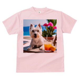 EGXgnChzCgeA TVc  j[NfUCY LbY t@  t vg lJWA 킢 lԗp Mtg I ҏ΍ ݕ EGXgn