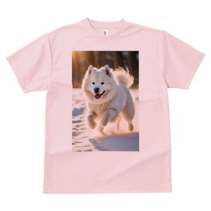 �T���G�h T�V���c ���� ���j�[�N�f�U�C�����f�B�[�X ���t�@�� ���� �t�� �v�����g ��l�J�W���A�� ���킢�� �l�ԗp �M�t�g ���I �ҏ��΍� �� �T���G�h �~ ���z ��