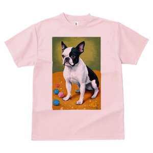 {XgeA TVc  j[NfUCfB[X t@  t vg lJWA 킢 lԗp Mtg I ҏ΍ {[ {XgeA 