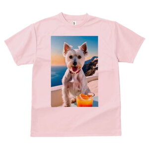 EGXgnChzCgeA TVc  j[NfUCfB[X t@  t vg lJWA 킢 lԗp Mtg I ҏ΍ C EGXgnCh