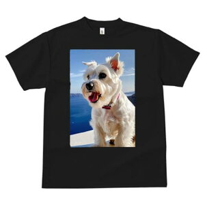 EGXgnChzCgeA TVc  j[NfUCfB[X t@  t vg lJWA 킢 lԗp Mtg I ҏ΍  EGXgnCh