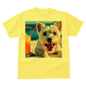 EGXgnChzCgeA TVc  j[NfUCfB[X t@  t vg lJWA 킢 lԗp Mtg I ҏ΍ ݕ EGXgnC