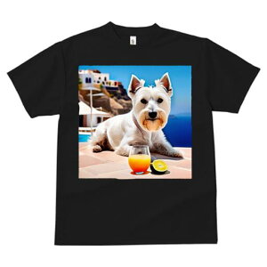 EGXgnChzCgeA TVc  j[NfUCfB[X t@  t vg lJWA 킢 lԗp Mtg I ҏ΍ W[X EGXgnC