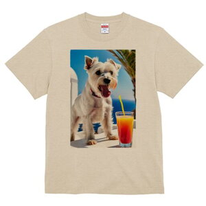 EGXgnChzCgeA TVc  j[NfUCfB[X t@  t vg lJWA 킢 lԗp Mtg I ҏ΍ W[X EGXgnC