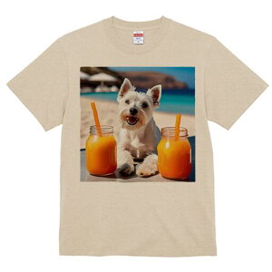 EGXgnChzCgeA TVc  j[NfUCfB[X t@  t vg lJWA 킢 lԗp Mtg I ҏ΍ W[X EGXgnC