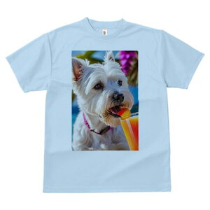 EGXgnChzCgeA TVc  j[NfUCfB[X t@  t vg lJWA 킢 lԗp Mtg I ҏ΍ JNe EGXgnC