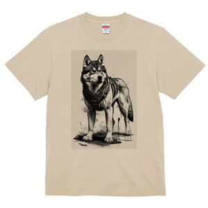 nXL[ TVc  j[NfUCfB[X t@  t vg lJWA 킢 lԗp Mtg I ҏ΍ n[lX nXL[