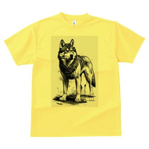 nXL[ TVc  j[NfUCfB[X t@  t vg lJWA 킢 lԗp Mtg I ҏ΍ n[lX nXL[