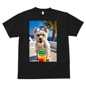 EGXgnChzCgeA TVc  j[NfUCfB[X t@  t vg lJWA 킢 lԗp Mtg I ҏ΍ W[X EGXgnC