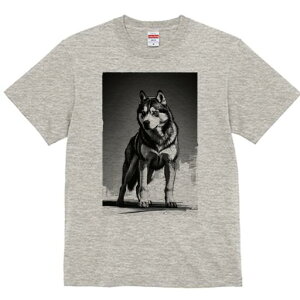 nXL[ TVc  j[NfUCfB[X t@  t vg lJWA 킢 lԗp Mtg I ҏ΍ nXL[