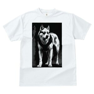 nXL[ TVc  j[NfUCfB[X t@  t vg lJWA 킢 lԗp Mtg I ҏ΍ nXL[