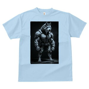 VxAnXL[ TVc  j[NfUCfB[X t@  t vg lJWA 킢 lԗp Mtg I ҏ΍ Z VxAnXL[ }b` 