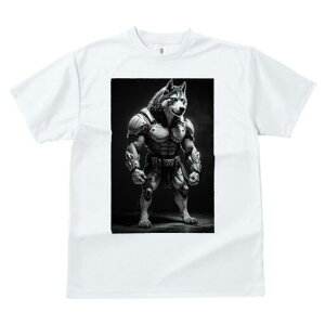 VxAnXL[ TVc  j[NfUCfB[X t@  t vg lJWA 킢 lԗp Mtg I ҏ΍ Z VxAnXL[ }b` 