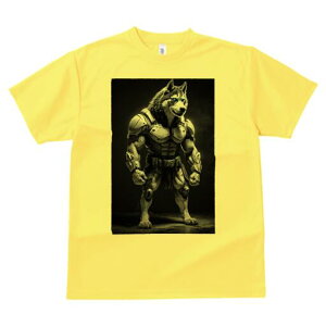 VxAnXL[ TVc  j[NfUCfB[X t@  t vg lJWA 킢 lԗp Mtg I ҏ΍ Z VxAnXL[ }b` 