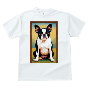 {XgeA TVc  j[NfUCfB[X t@  t vg lJWA 킢 lԗp Mtg I ҏ΍ G {XgeA z