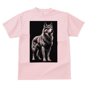 nXL[ TVc  j[NfUCfB[X t@  t vg lJWA 킢 lԗp Mtg I ҏ΍ nXL[