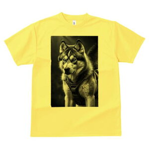 nXL[ TVc  j[NfUCfB[X t@  t vg lJWA 킢 lԗp Mtg I ҏ΍ n[lX nXL[