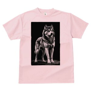 nXL[ TVc  j[NfUCfB[X t@  t vg lJWA 킢 lԗp Mtg I ҏ΍ nXL[