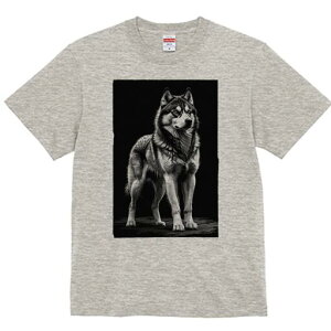 nXL[ TVc  j[NfUCfB[X t@  t vg lJWA 킢 lԗp Mtg I ҏ΍ nXL[