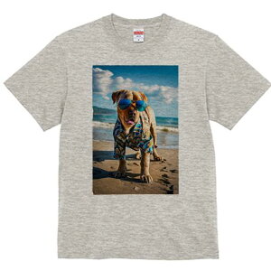 uh[go[ TVc  j[NfUCfB[X t@  t vg lJWA 킢 lԗp Mtg I ҏ΍ TOX uh[go