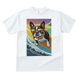 {XgeA TVc  j[NfUCfB[X t@  t vg lJWA 킢 lԗp Mtg I ҏ΍ TOX {XgeA T[t{[h 