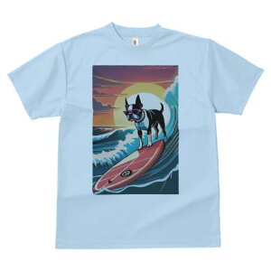 {XgeA TVc  j[NfUCY LbY t@  t vg lJWA 킢 lԗp Mtg I ҏ΍ T[tB {XgeA g C [