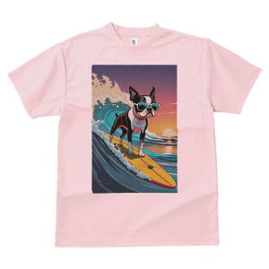 {XgeA TVc  j[NfUCfB[X t@  t vg lJWA 킢 lԗp Mtg I ҏ΍ T[tB {XgeA g C [